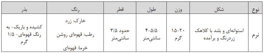 مشخصات میوه خرمای رقم مجول