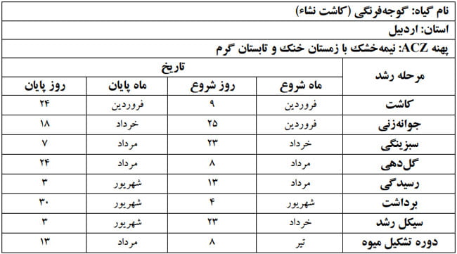 دوره فنولوژی گیاه گوجه فرنگی در استان اردبیل