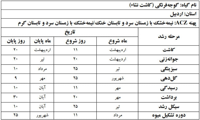 دوره فنولوژی گیاه گوجه فرنگی در استان اردبیل