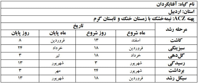 فنولوژی گیاه آفتابگردان در استان اردبیل