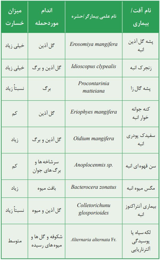 آفات و بیماری های مهم درخت انبه در استان هرمزگان