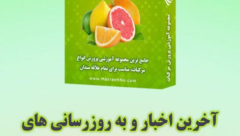 آخرین اخبار و به روزرسانی های مجموعه آموزشی پرورش مرکبات
