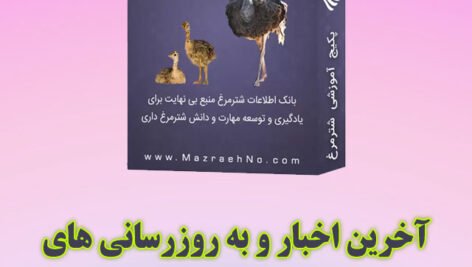 آخرین اخبار و به روزرسانی های مجموعه آموزشی پرورش شترمرغ