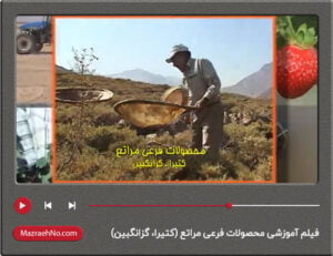 فیلم آموزشی محصولات فرعی مراتع (کتیرا، گزانگبین)