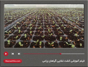 فیلم آموزشی کشت نشایی گیاهان زراعی