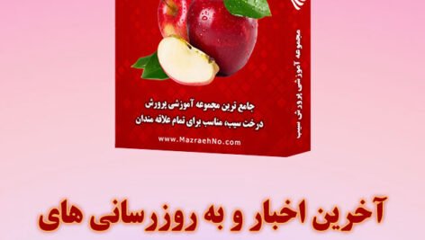 مجموعه آموزشی پرورش سیب