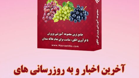 اخبار مجموعه آموزشی پرورش انگور