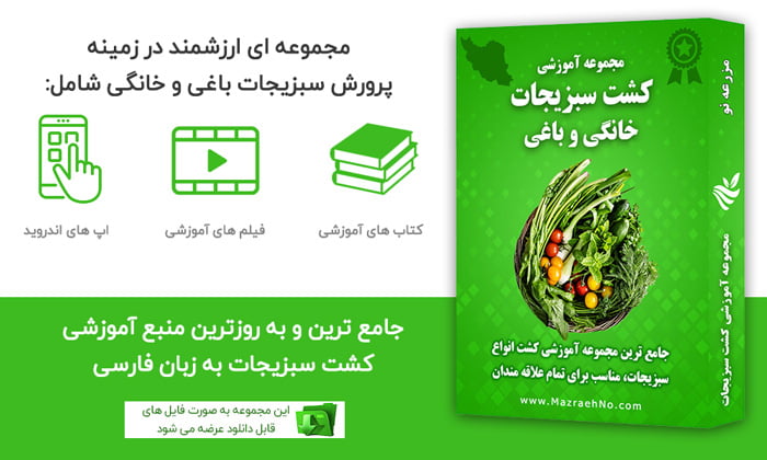 بنر مجموعه جامع آموزش کاشت سبزیجات