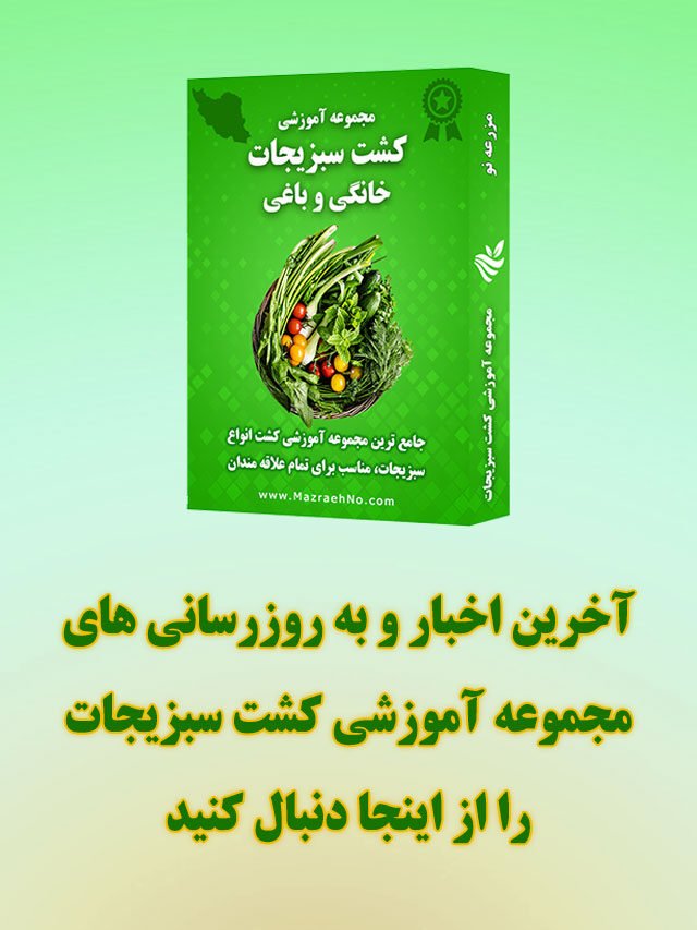 مجموعه آموزشی سبزیجات