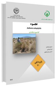 کتاب عجوه، گیاه مورد علاقه شتر