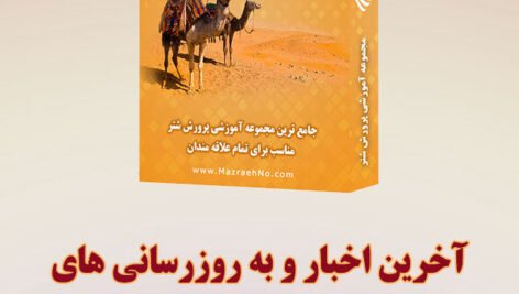 اخبار مجموعه آموزشی پرورش شتر
