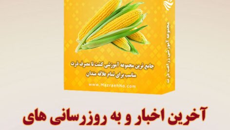 اخبار مجموعه آموزشی زراعت ذرت