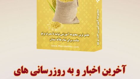 اخبار مجموعه آموزشی زراعت برنج