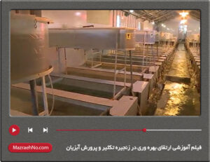 فیلم آموزشی ارتقای بهره وری در زنجیره تکثیر و پرورش آبزیان