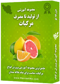 دانلود مجموعه جامع آموزش پرورش مرکبات
