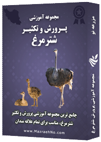 دانلود مجموعه جامع آموزش پرورش شترمرغ