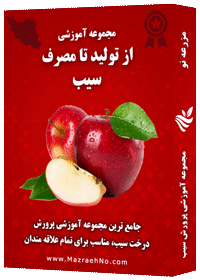 دانلود مجموعه جامع آموزش پرورش سیب