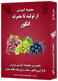 دانلود مجموعه جامع آموزش پرورش انگور