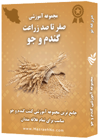 دانلود مجموعه جامع آموزش زراعت گندم و جو