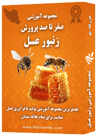 دانلود مجموعه جامع آموزش پرورش زنبور عسل