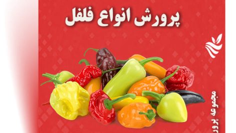 مجموعه جامع آموزش پرورش انواع فلفل