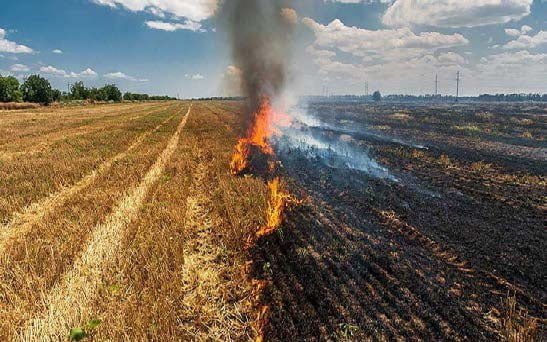 سوزاندن بقایای محصول قبل