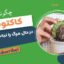 آموزش مرحله به مرحله نجات کاکتوس پلاسیده یا خشکیده