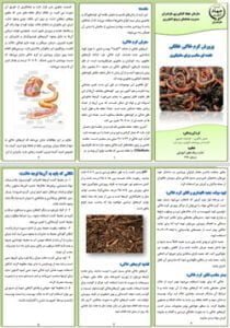 بروشور پرورش کرم خاکی خانگی، طعمه ای مناسب برای ماهیگیری