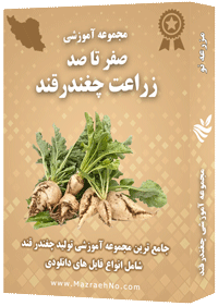 دانلود مجموعه جامع آموزش زراعت چغندرقند