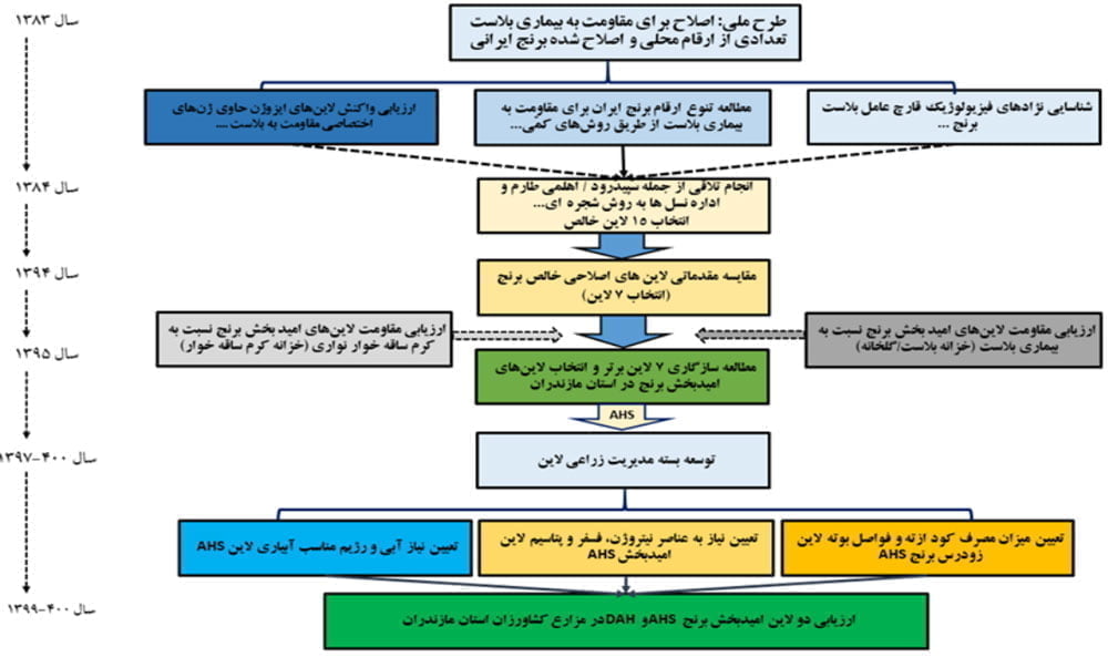 شمای برنامه اصلاحی رقم هلال