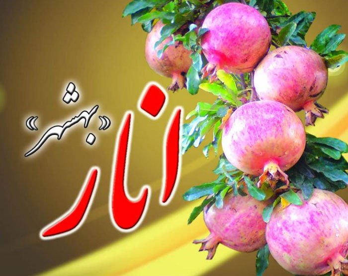 آشنایی با انار بهشهر و شرایط کاشت آن