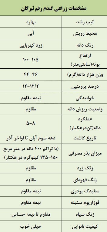 مشخصات زراعی گندم رقم تیرگان