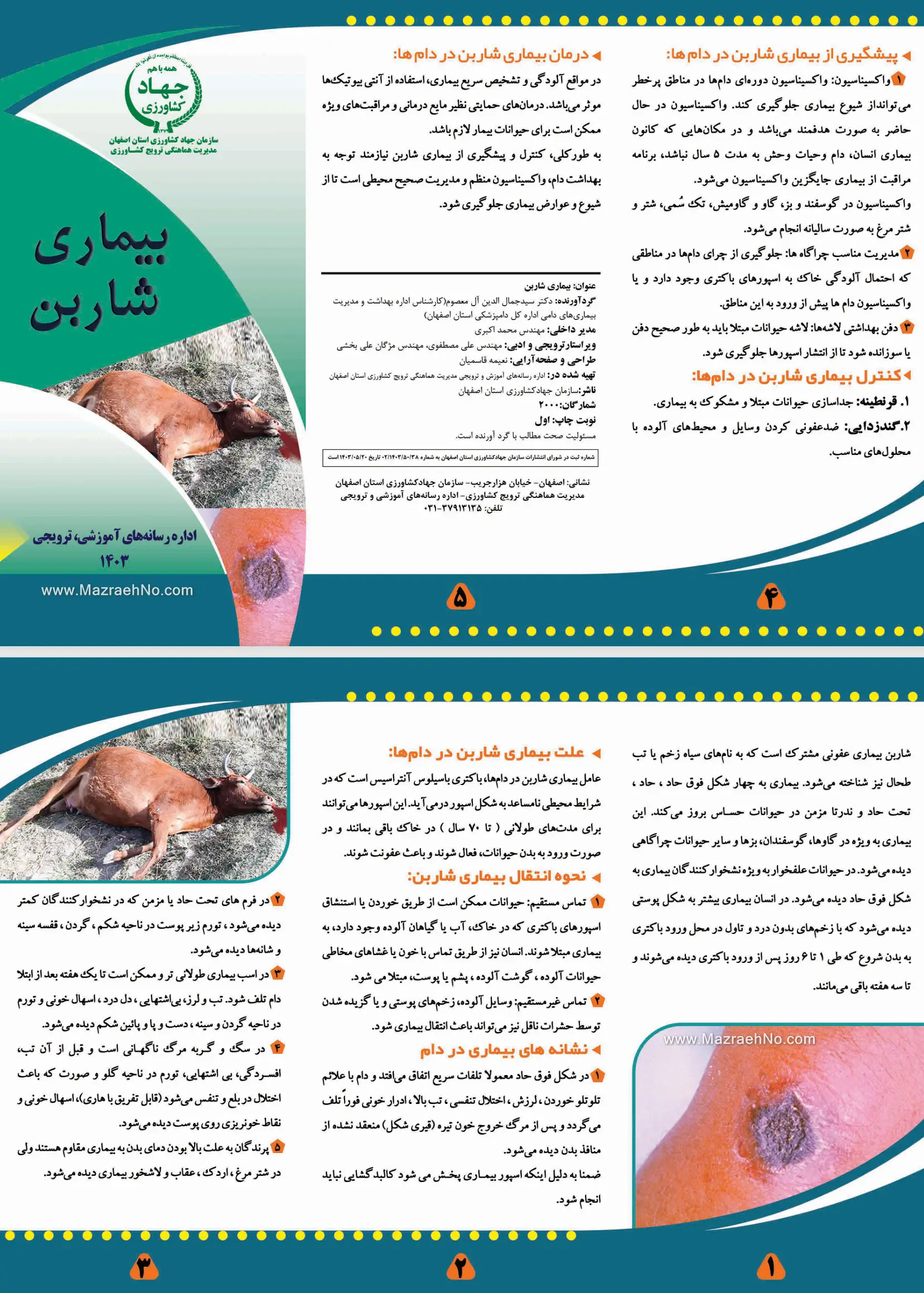 بیماری شاربن