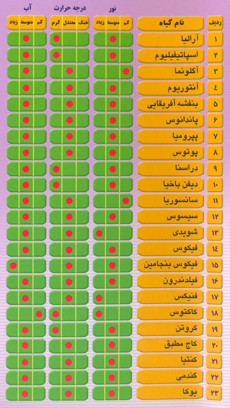 گل های مناسب برای پرورش در آپارتمان
