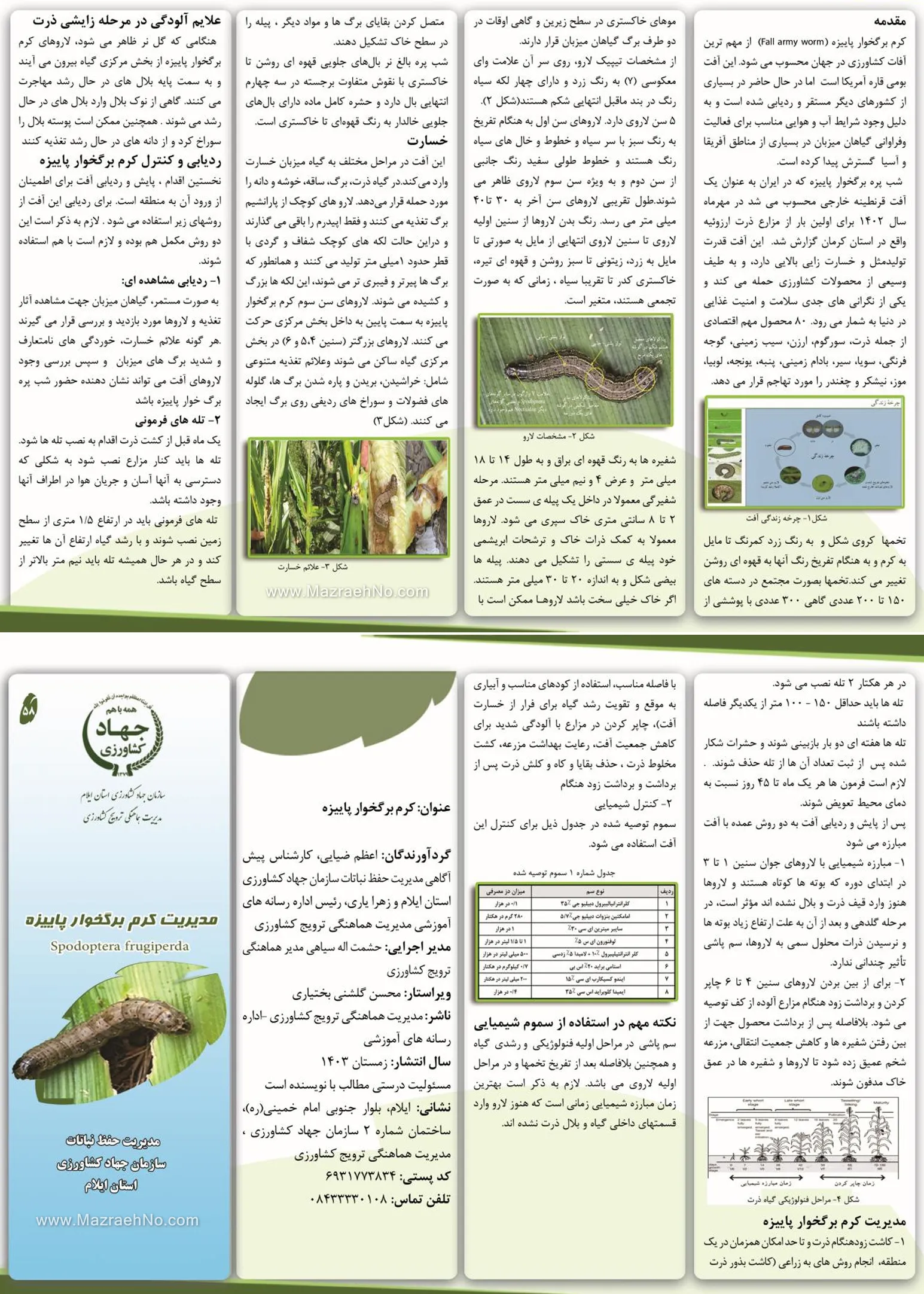 مدیریت کرم برگخوار پاییزه