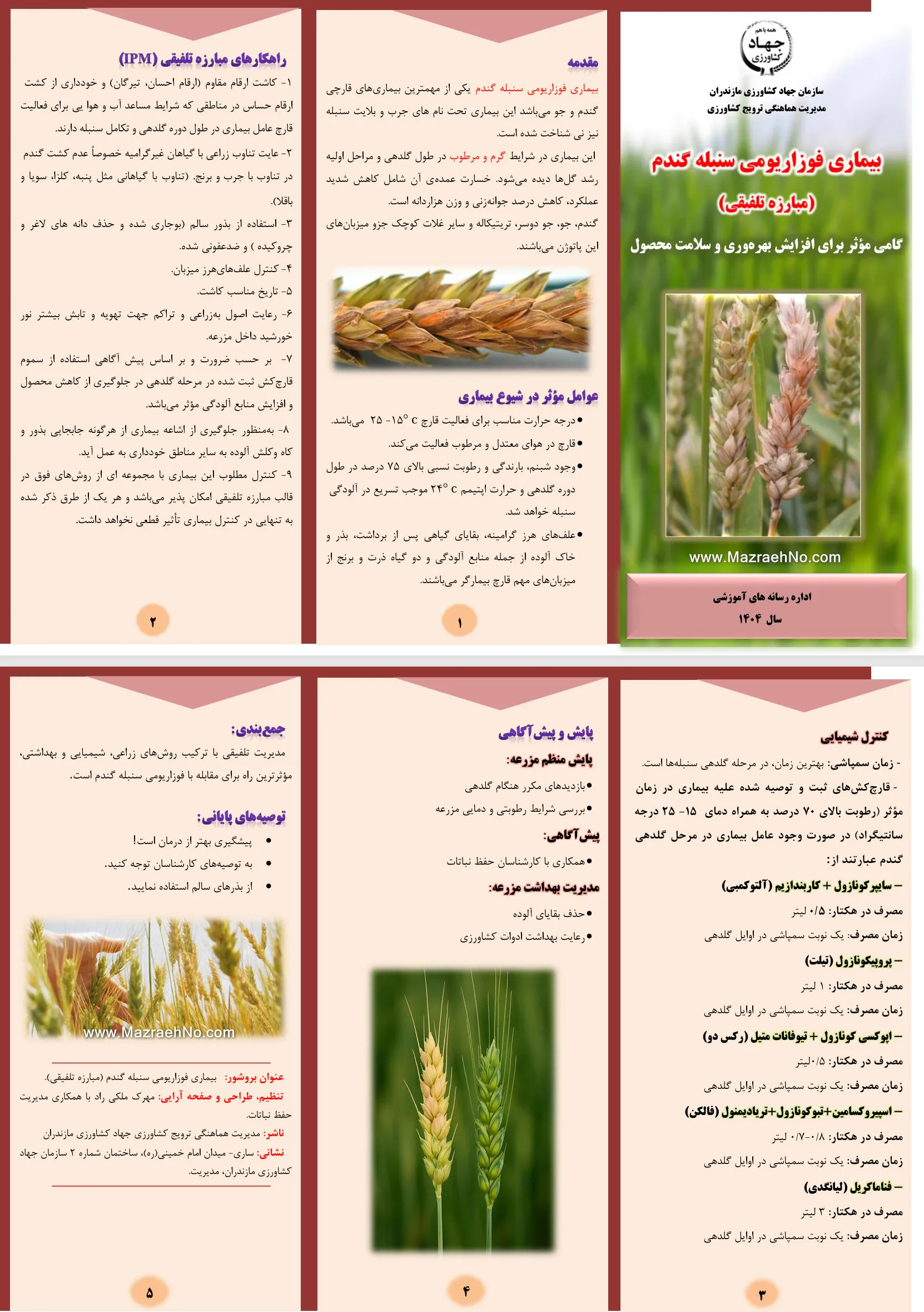 همه چیز درباره انواع بیماری های گندم و جو 7 بیماری فوزاریوم سنبله گندم (مبارزه تلفیقی)