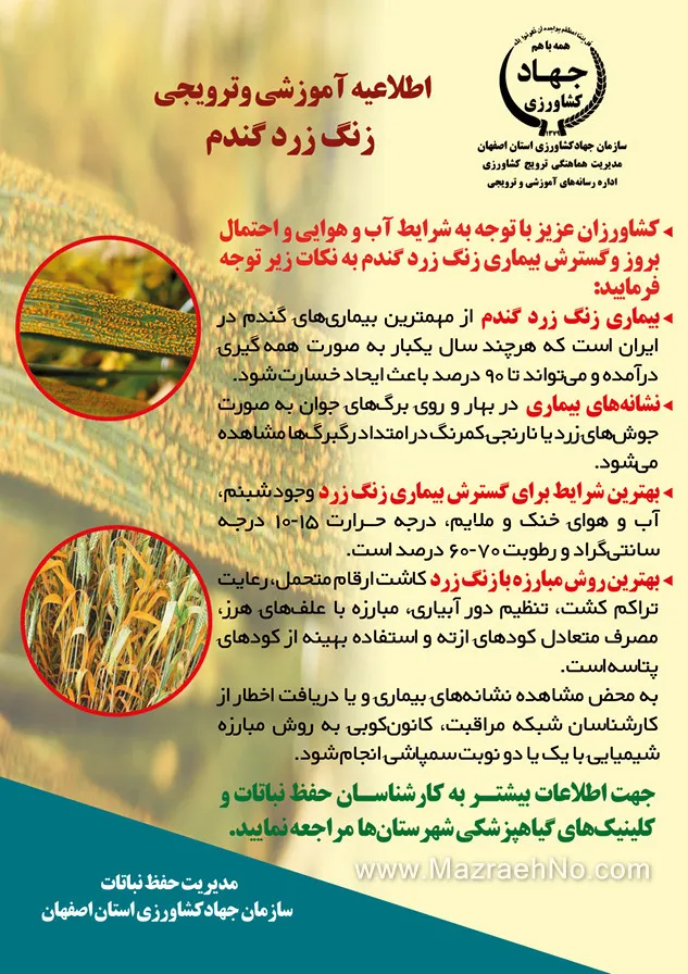 اطلاعیه آموزشی و ترویجی زرنگ زرد گندم