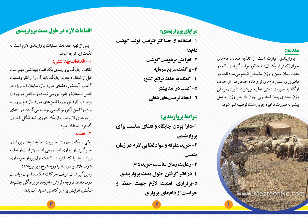 پرواربندی در گوسفند و بز بخش دوم