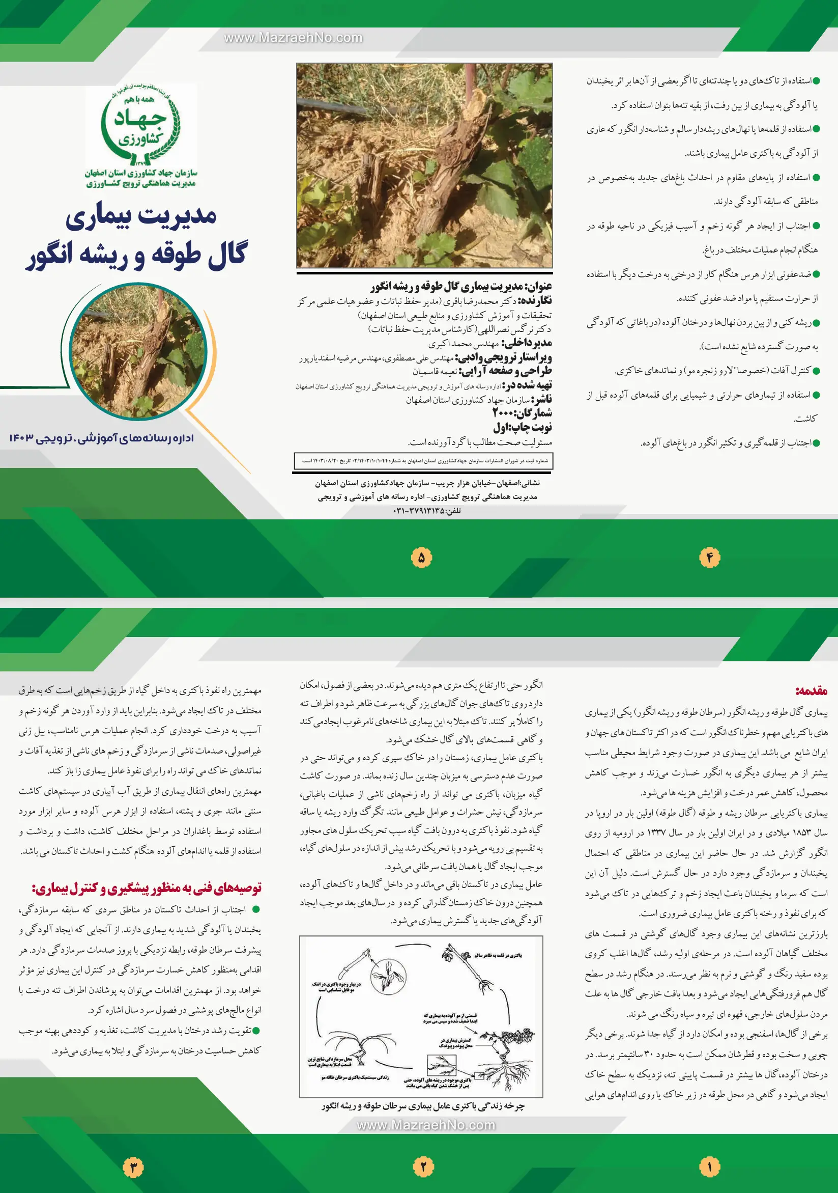 مدیریت بیماری گال طوقه و ریشه انگور