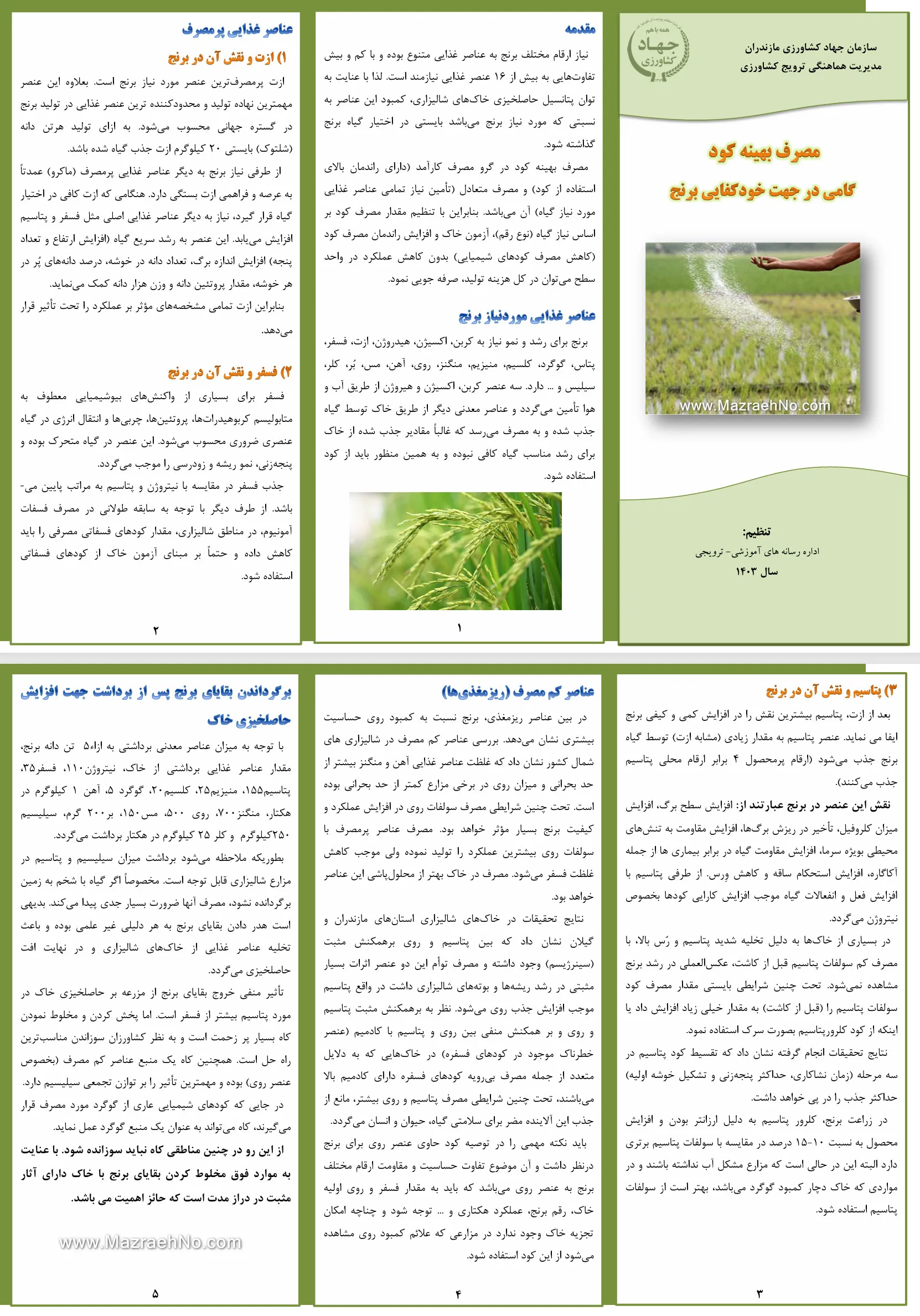 مصرف بهینه کود گامی در جهت خودکفایی برنج