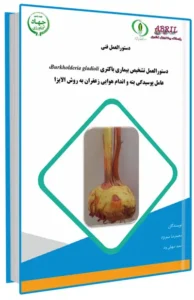 کتابچه دستورالعمل تشخیص بیماری باکتری Burkholderia gladioli عامل پوسیدگی بنه و اندام هوایی زعفران به روش الایزا