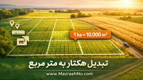 تبدیل هکتار به متر مربع و واحدهای مساحت رایج کشاورزی