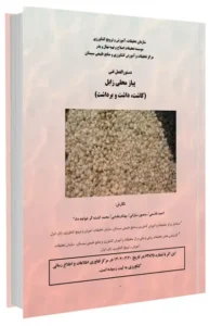 کتاب کاشت، داشت و برداشت پیاز محلی زابل