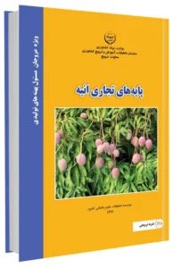 کتابچه پایه های تجاری انبه