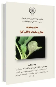 کتابچه معرفی و مدیریت بیماری سفیدک داخلی کلزا