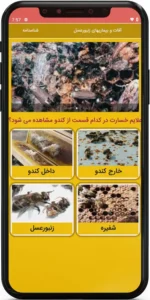 اپ اندروید آفات و بیماری های زنبورعسل