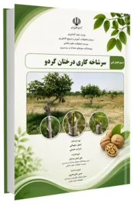 کتاب سرشاخه کاری درختان گردو