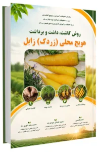 کتابچه روش کاشت، داشت و برداشت هویج محلی (زردک) زابل