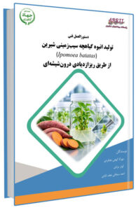 کتابچه تولید انبوه گیاهچه سیب زمینی شیرین از طریق ریزازدیادی درون شیشه ای