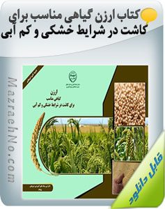 کتاب ارزن گیاهی مناسب برای کاشت در شرایط خشکی و کم آبی